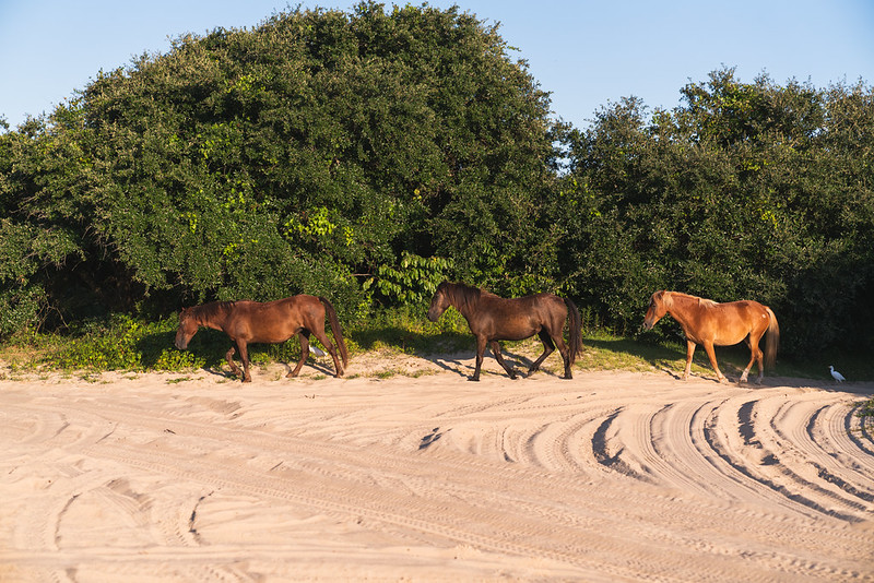 48599591657 B3b93a32b9 C (1)