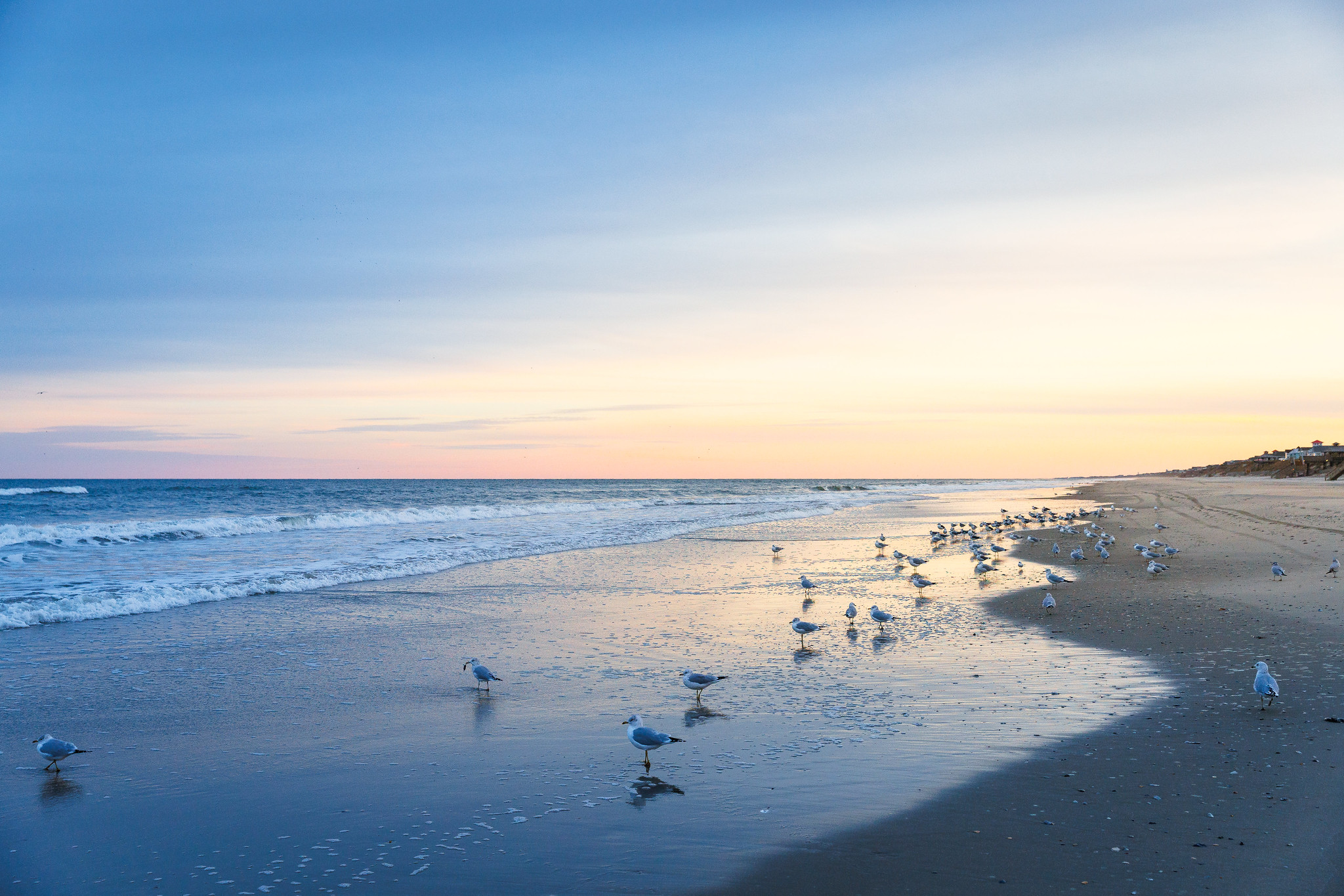 54212871773 402217268C K