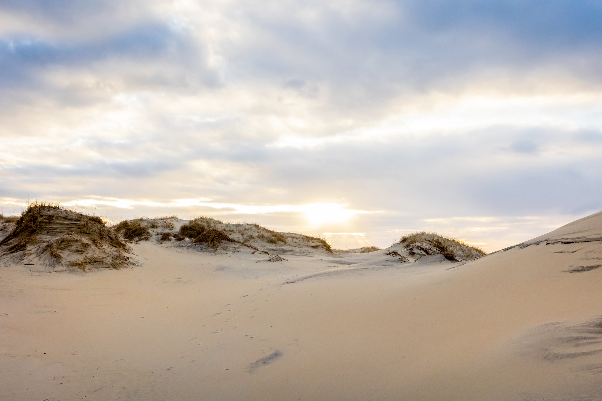 52704930201 5Af36e4cf3 K