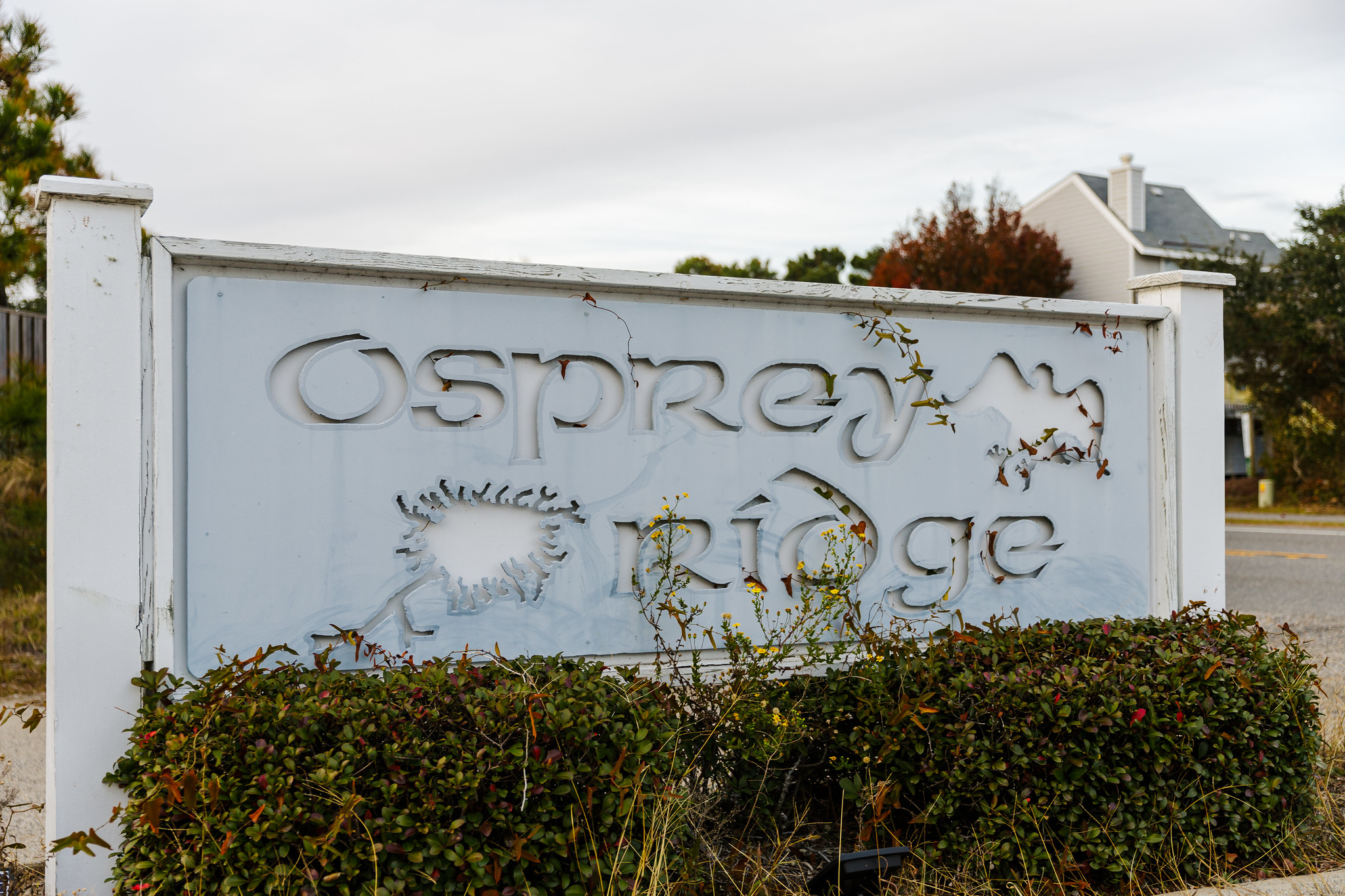 52546015654 527Dcbeeee K