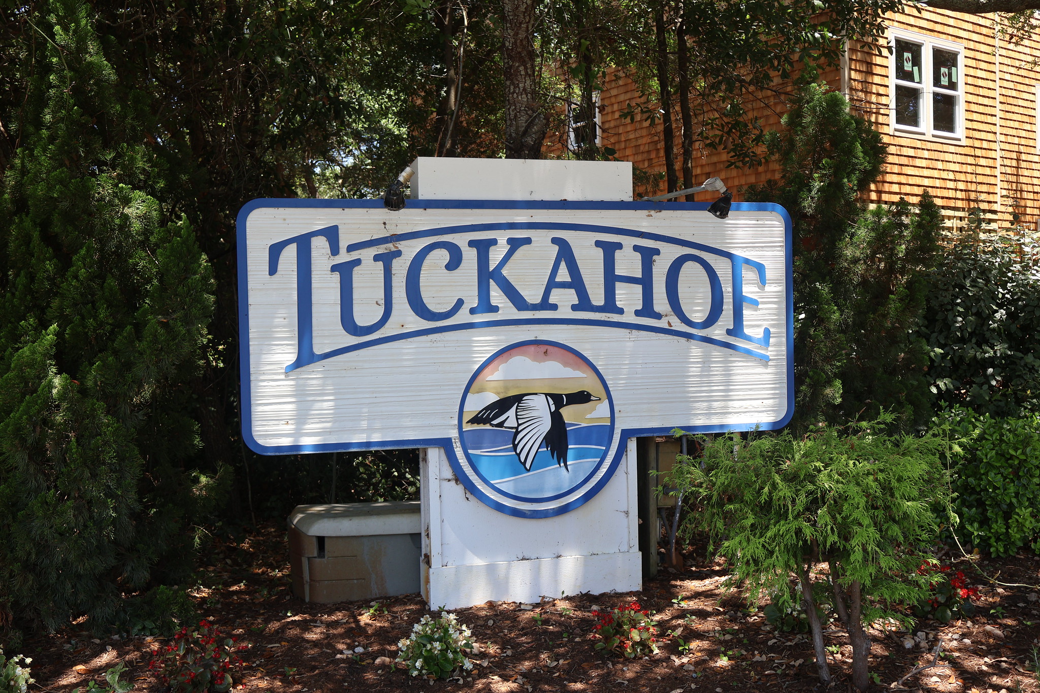 54627863197 8Be3ff3b4e K (1)