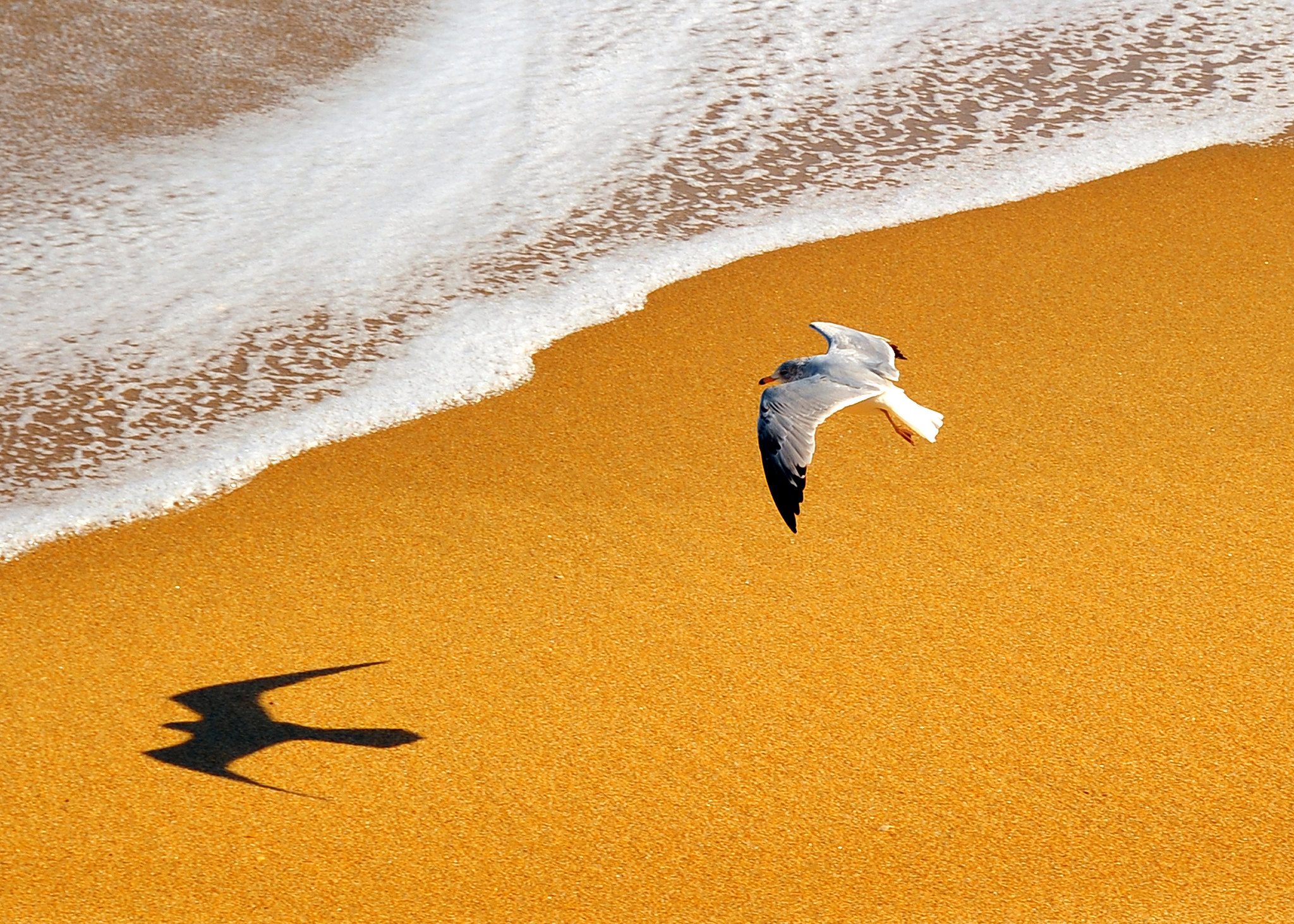 28220895697 51B8f43dcd K